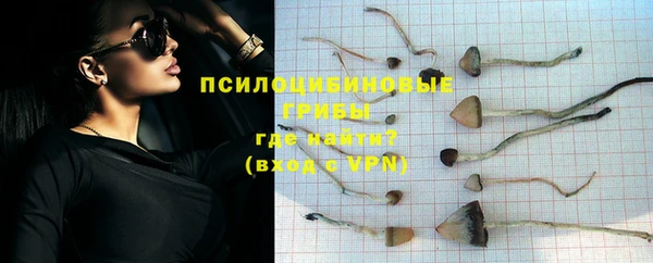 2c-b Лагань