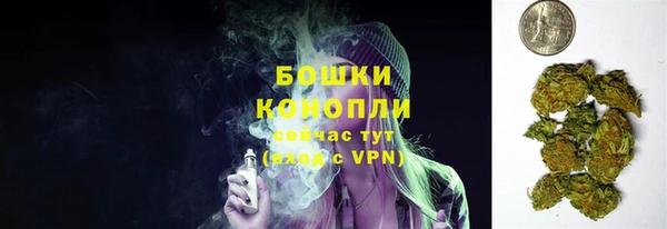 2c-b Лагань