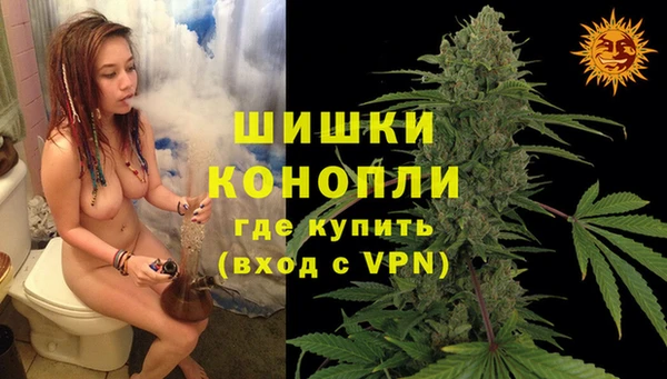 spice Ладушкин