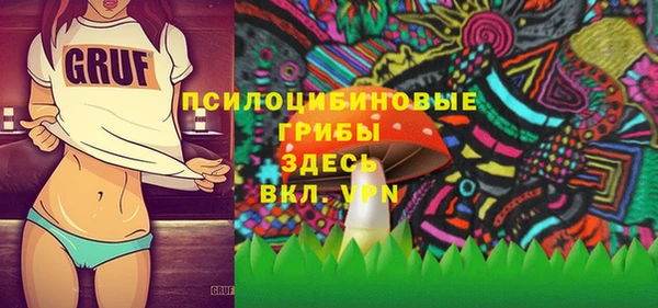 spice Ладушкин